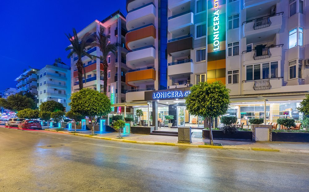 Lonicera City Kleopatra Alanya