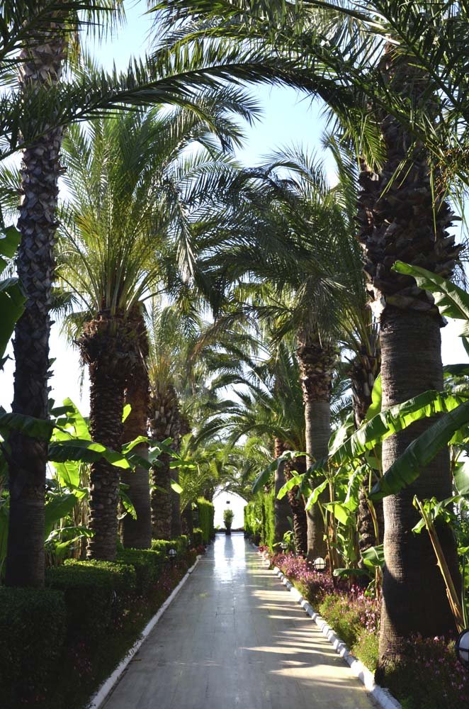 Emelda Sun Club Kemer