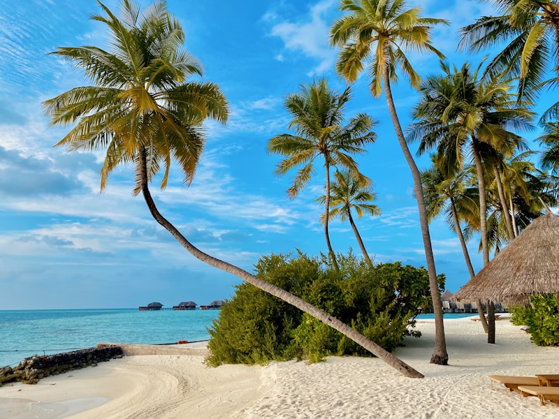 Kids free hoteldeals